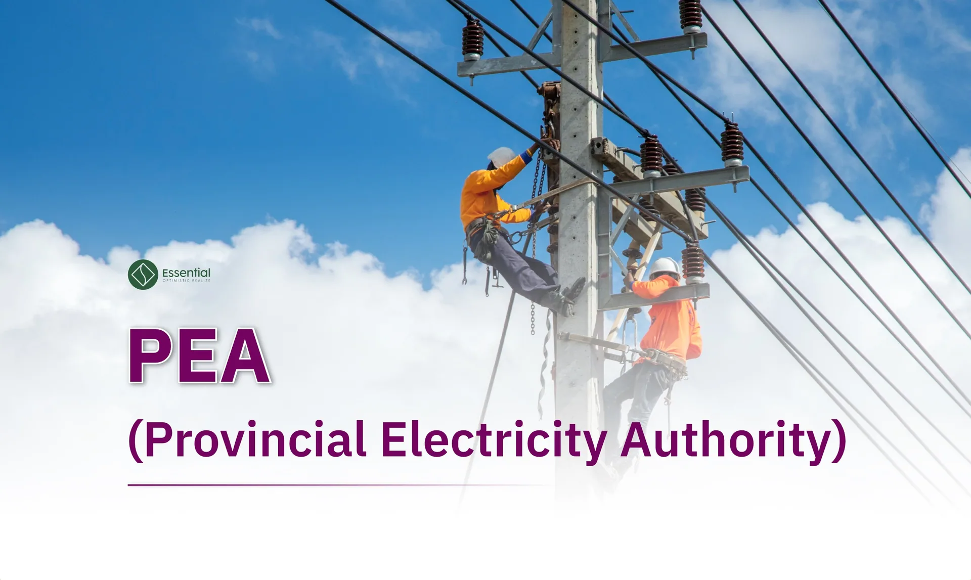 PEA (Provincial Electricity Authority)