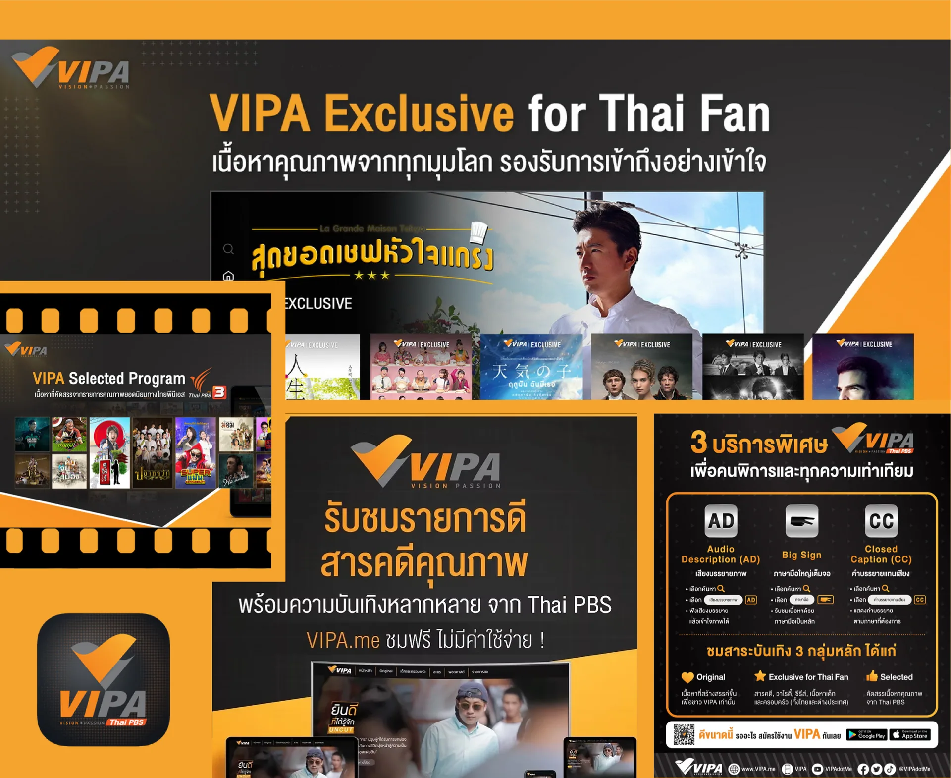 VIPA : Logo identity